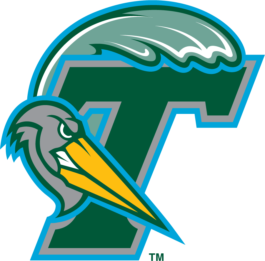 Tulane Green Wave 1998-2005 Secondary Logo diy DTF decal sticker